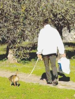 Controlli serrati per i padroni che portano i loro cani nei parchi