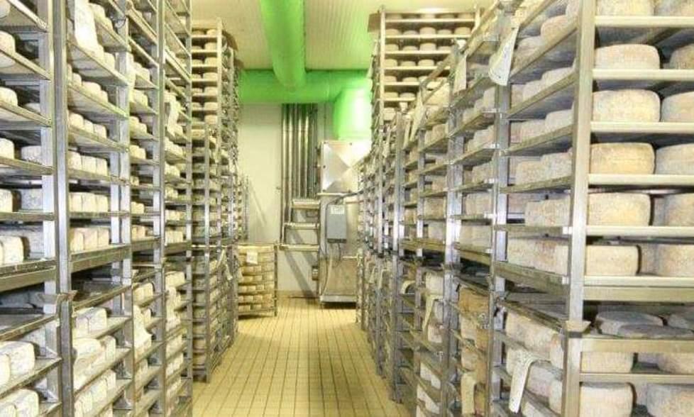 Latte, rassicurazioni per gli allevatori. Alival conferma i contratti per il 2019 