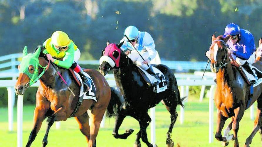 San Rossore, riflettori puntati sul premio How to go