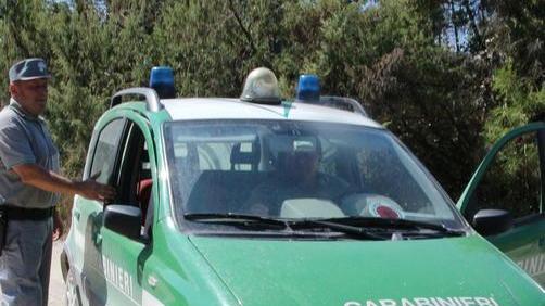 Spara al cinghiale e colpisce un cacciatore