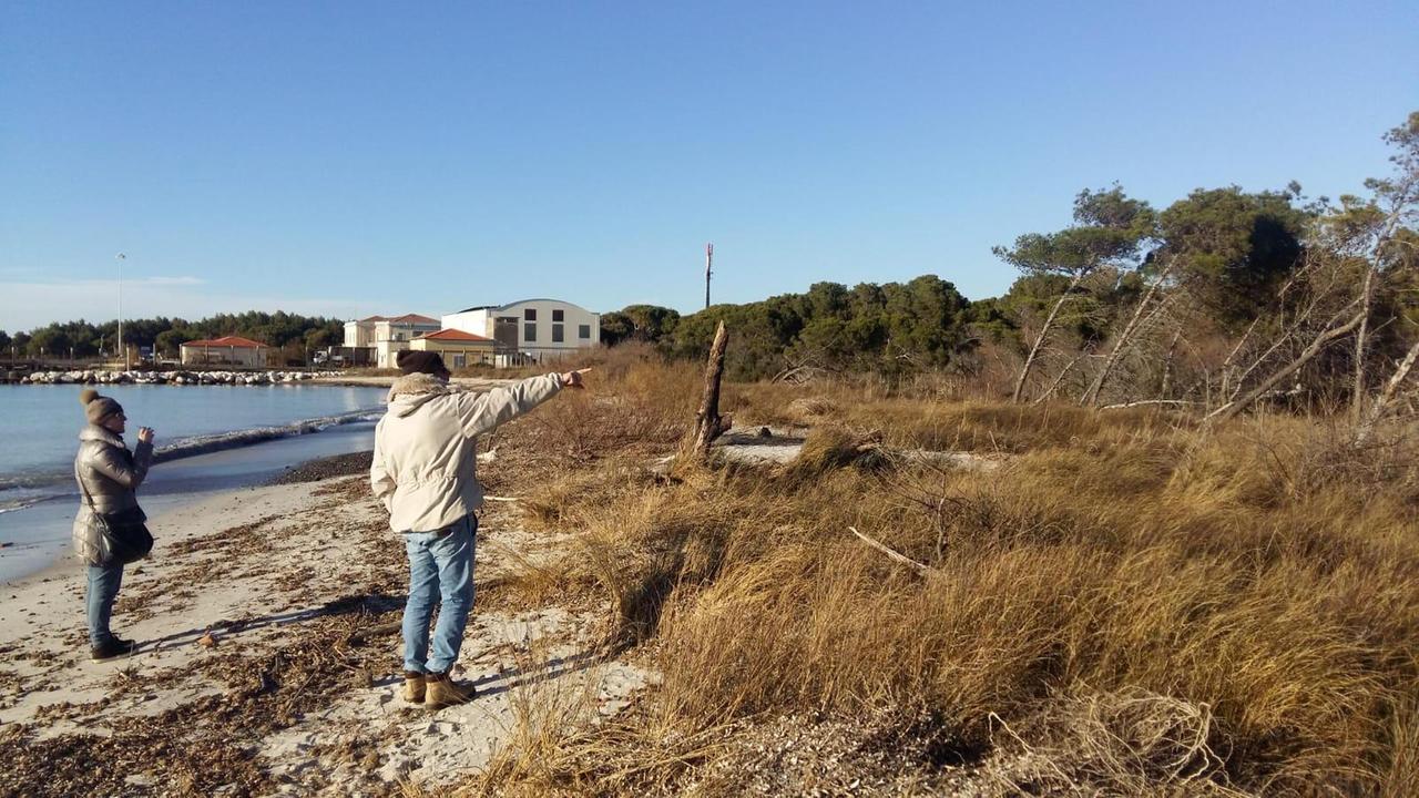 Il tratto di spiaggia verso la Bucaccia a Vada
