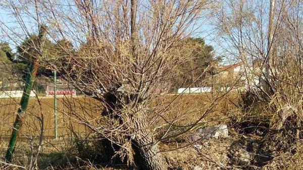 Pia: risolti i problemi la Regione ora è pronta