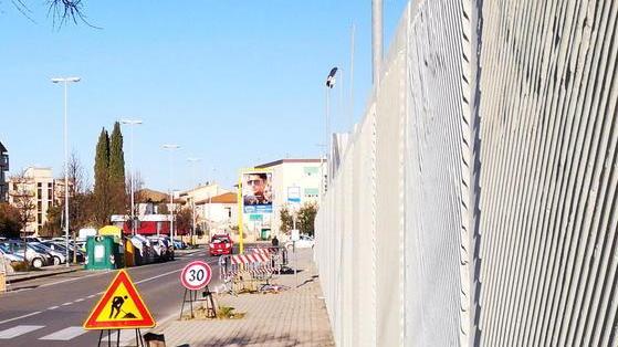 Si sostituiscono gli alberi lungo via della Fiera