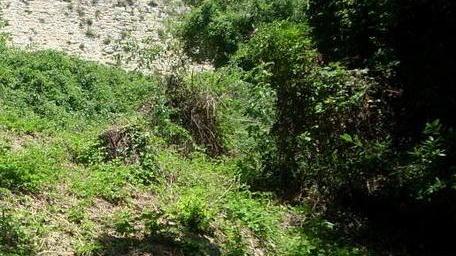 «I resti villanoviani saranno visibili a tutti»