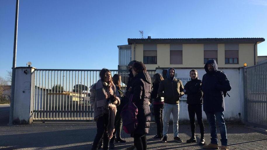 Gli animalisti al mattatoio «Diventiamo tutti vegani»