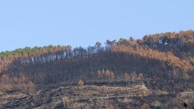 Un altro bando per i contributi post-incendio