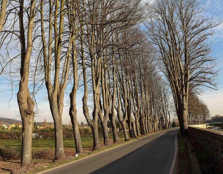 Autovelox sulle strade provinciali «Tante richieste dai sindaci» 