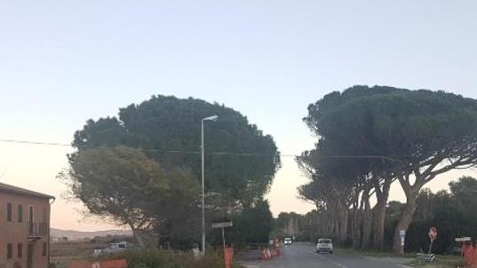 Rotatoria delle Piane, i lavori ripartono dopo 6 mesi di stop
