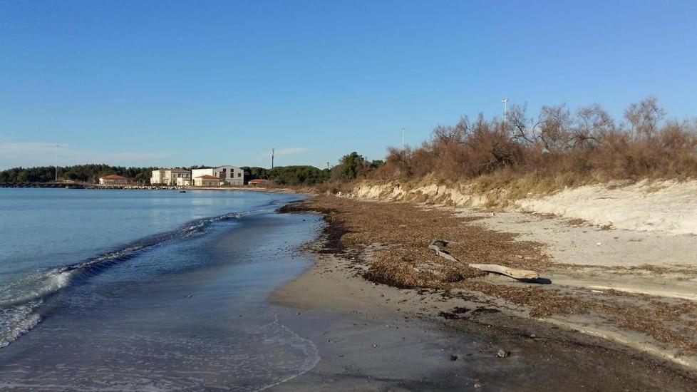 La spiaggia di Vada erosa dal mare