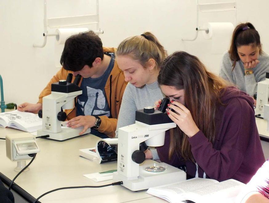 Farmacologia, nuovo fronte per l’Istituto biologia marina 