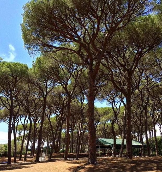 Variante sul turismo, 58 osservazioni dai cittadini 