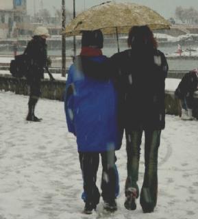 Timori per la neve a Rosignano