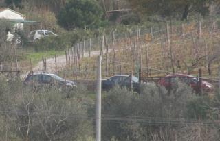Marito e moglie rapinati in una villa