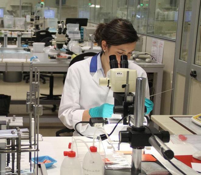 Parla l'oncologa sassarese killer dei tumori: «Che emozione far nascere un nuovo farmaco» 