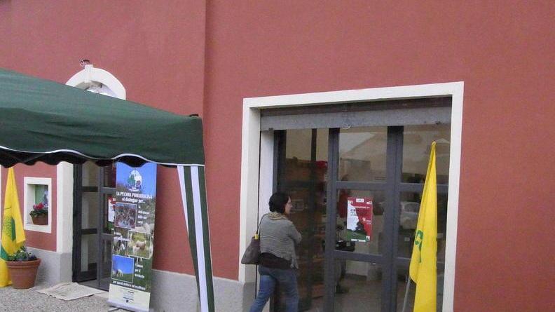 Cinque ragazzi disabili al lavoro in aziende che producono olio