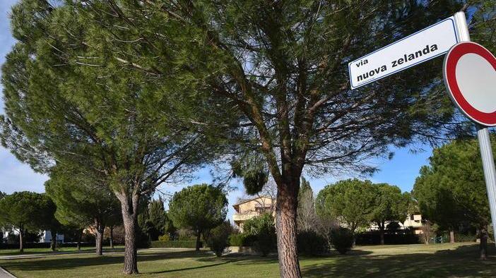 Via Nuova Zelanda al buio Entro il 2020 i lampioni a led