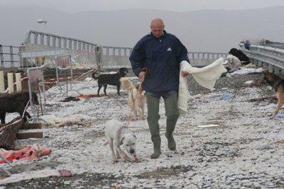 Maltempo, migliaia di evacuatiil Serchio esonda, A11 chiusa