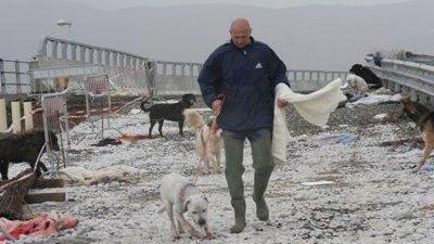 Maltempo, migliaia di evacuatiil Serchio esonda, A11 chiusa