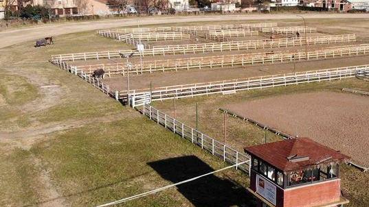 L’Ippodromo comunale sarà la “cittadella del cavallo”