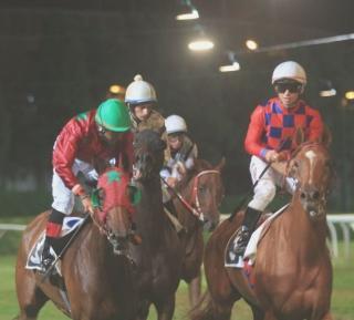 <strong>GALOPPO. </strong>Il fascino delle corse all’ippodromo Caprilli