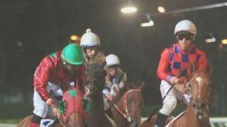 <strong>GALOPPO. </strong>Il fascino delle corse all’ippodromo Caprilli