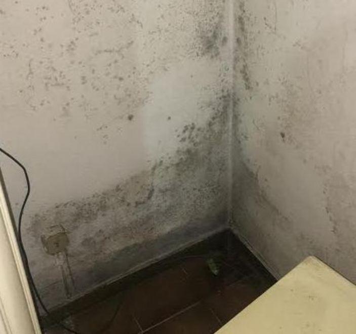 «Fai qualcosa di sinistra e non buttare Madiha in mezzo a una strada»