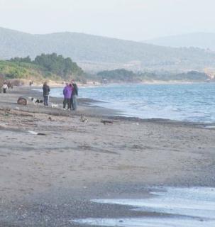 La spiaggia di Carlappiano dove sono state ritrovate ossa umane