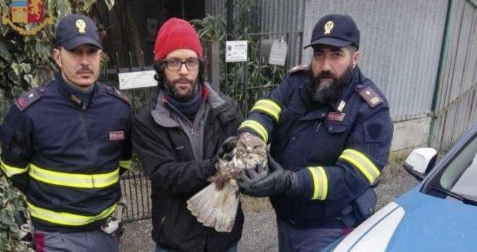 Poiana salvata dalla Polstrada