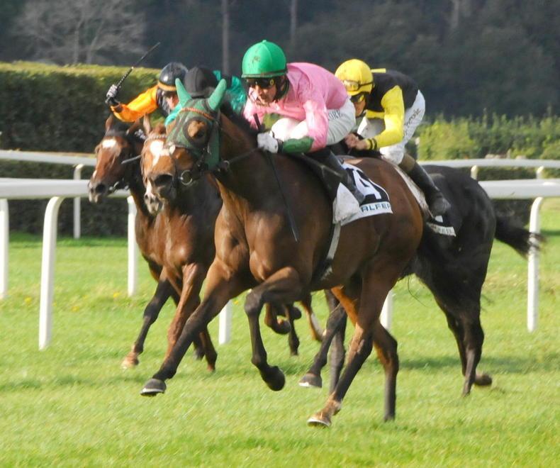 Si corre a San Rossore con tre gare in piano e altre tre ad ostacoli 
