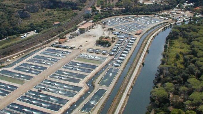 Immobiliare e settore ittico Albama e Cosa fanno faville