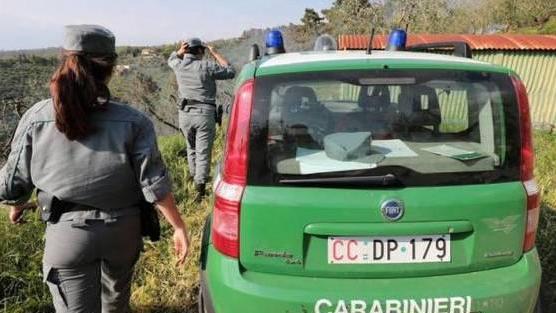 Caccia con carabina e fucile modificato Due denunciati