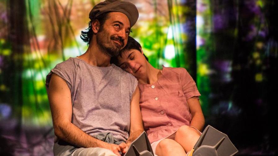 ll diario del brutto anatroccolo domenica al teatro Asioli