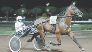 Federico Esposito: nel 2009 ha collezionato 75 vittorie e 168 piazzamenti in 481 corse Venticinque di questi successi li ha ottenuti sulla pista del Sesana e gli sono valsi il quinto posto della classifica di Montecatini