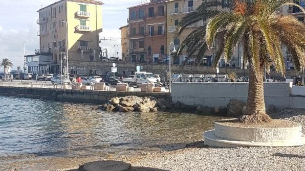 Via una palma dalla spiaggetta È attaccata dal punteruolo