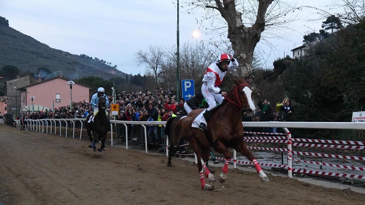 Gavino Sanna su Qui Pro Quo (Foto Silvi)