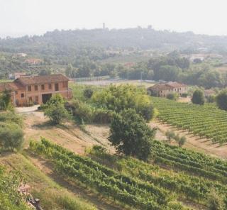 Fattoria del Buonamico ai Fontana