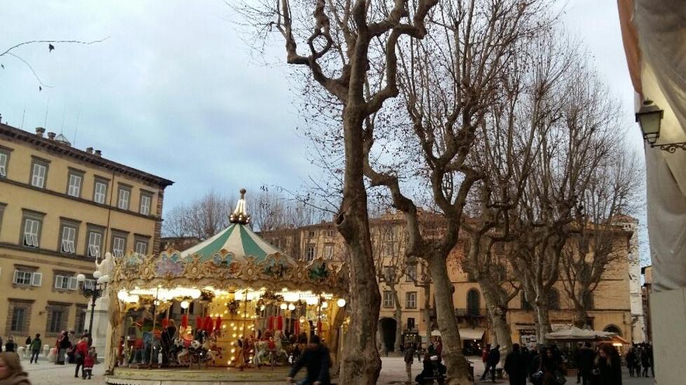 Torna il cancro del platano Quattro piante da abbattere