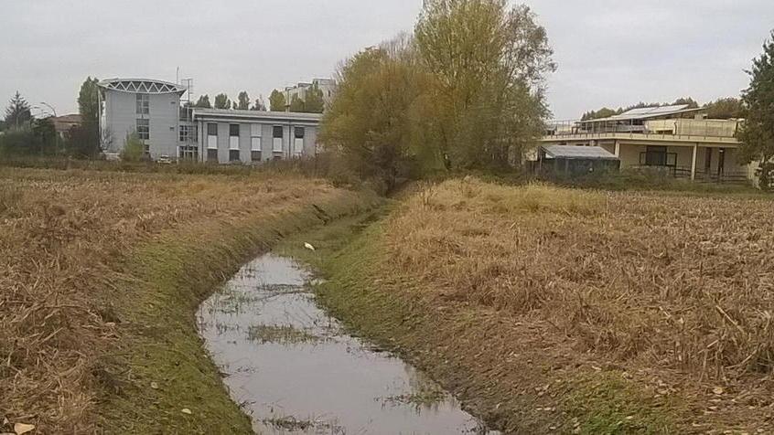 Serie di incontri con il Consorzio su canalette e lavori