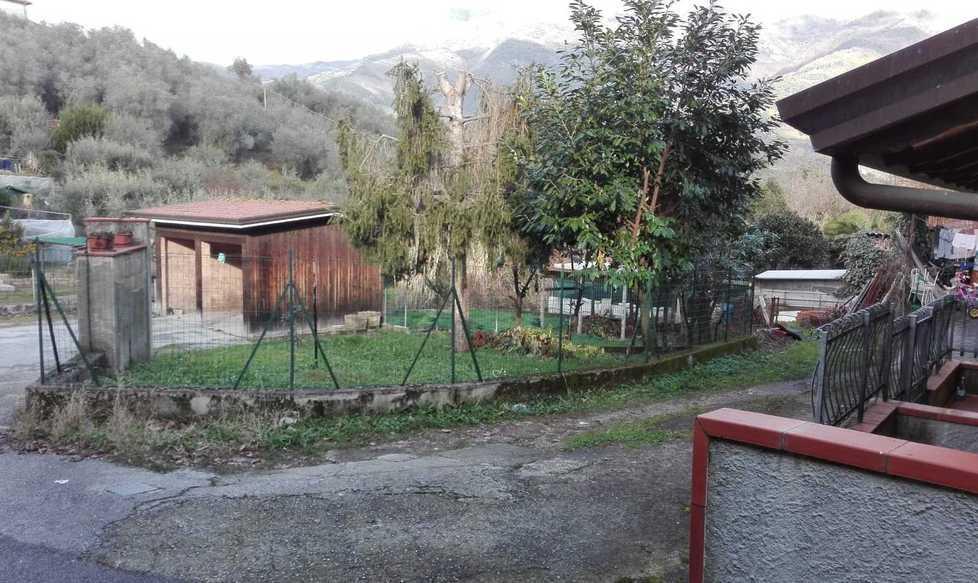 Spari vicini alle case Nei campi il cinghiale inseguito dai cani