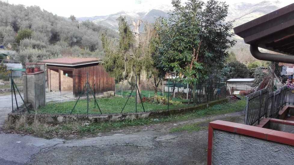 Spari vicini alle case Nei campi il cinghiale inseguito dai cani