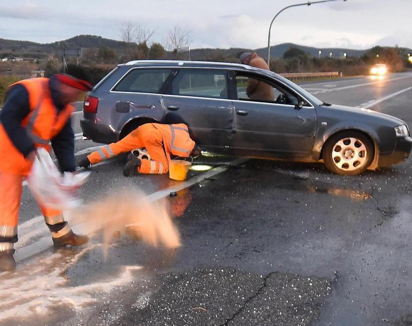 Sos incroci a raso e animali vaganti Sull’Aurelia tre incidenti in poche ore 