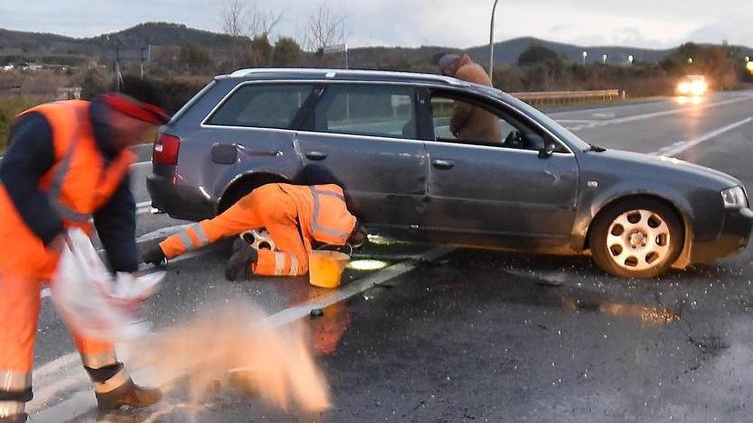 Sos incroci a raso e animali vaganti Sull’Aurelia tre incidenti in poche ore