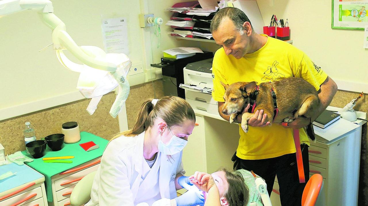 La dottoressa D’Avenia durante la visita di una piccola paziente (di cui pubblichiamo la foto avendo la liberatoria dei genitori e dell’ospedale) ricorrendo all’aiuto di un cane della speciale squadra di pet therapy In alto un primo piano della dottoressa responsabile dell’Odontostomatologia pediatrica del Meyer e in basso di nuovo una visita di una piccola paziente in braccio alla mamma