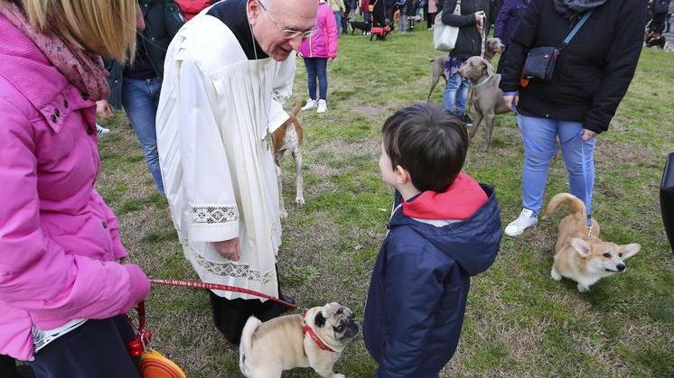 In tanti a far benedire gli animali dal vescovo
