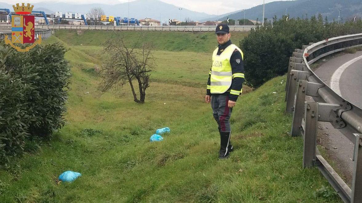 Sacchetti della spazzatura abbandonati al margine dell'A11