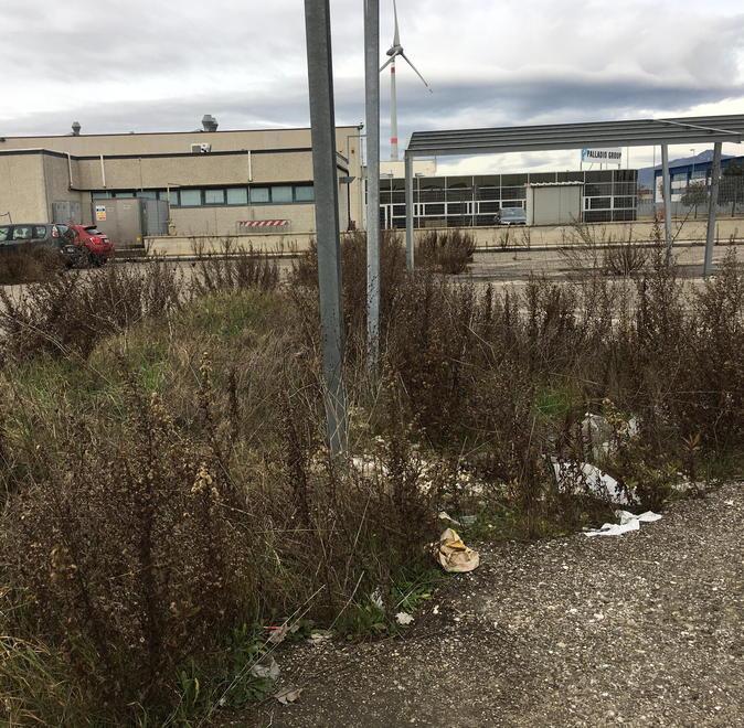 Incompiuta la zona industriale di Gello tra buche e parcheggi invasi dall’erba 