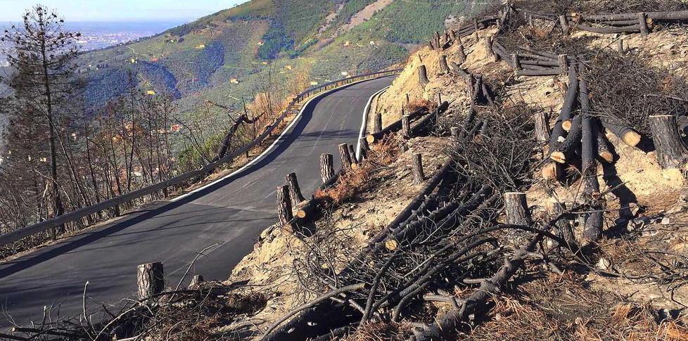 Grande solidarietà per il Monte Pisano anche al tavolo da gioco