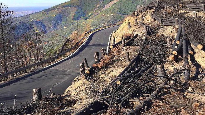 Grande solidarietà per il Monte Pisano anche al tavolo da gioco