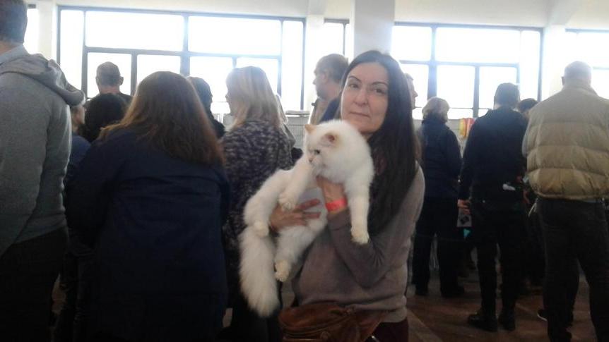 Esposizione felina I gatti più belli sono al Polo fiere