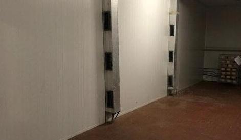 Migliaia di forme sparite Nucci: «Andiamo avanti con tutti i nostri progetti»